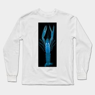 Langoustine, X-ray (Z220/0125) Long Sleeve T-Shirt